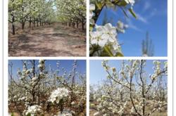 內(nèi)蒙赤峰寧城社保局電話號碼