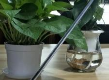 赤峰體溫槍供貨商電話號碼