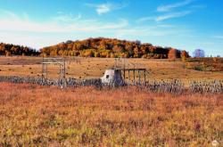 赤峰市林東漂流電話號(hào)碼