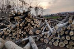 赤峰楊木凈片加工廠電話號碼