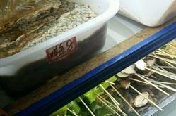 赤峰阿不都烤串地址電話號(hào)碼