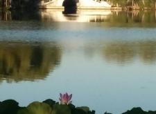 赤峰紅山區(qū)宴會酒店電話號碼