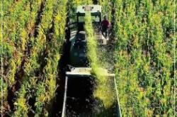 赤峰正大養(yǎng)殖廠電話多少號