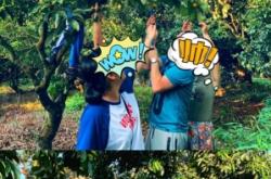 赤峰柿子塑料筐廠家電話號(hào)碼