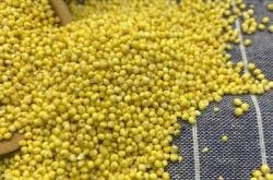 赤峰大黃米廠家地址電話號(hào)碼