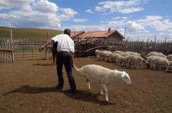 赤峰羊糞廠家供應(yīng)商電話號碼