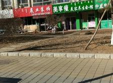 赤峰紅山舞蹈學(xué)校地址電話號碼