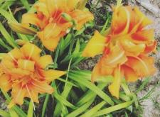 赤峰左旗東風(fēng)賓館電話號碼多少