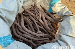 赤峰氣釘批發(fā)電話地址查詢