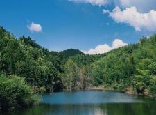 赤峰水云澗悅溫泉電話地址查詢