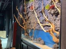 赤峰市區(qū)魚缸定制店電話號碼