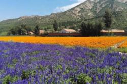 赤峰大力飯莊電話多少啊