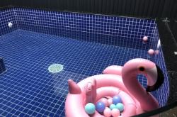 赤峰芭迪寵物生活館電話號碼