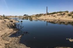 赤峰市中糧豬場電話是多少