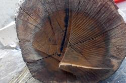 赤峰公園彈弓專賣店電話號碼