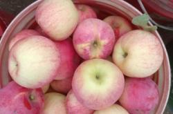 赤峰鍘草揉絲機(jī)出售電話地址