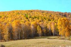 赤峰改裝踏板店電話號碼多少