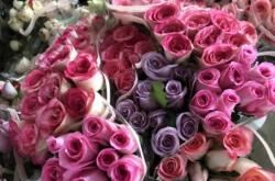 赤峰賣花的店鋪地址電話號(hào)碼