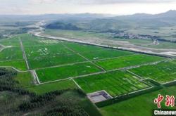 赤峰河道防護(hù)網(wǎng)安裝電話號碼