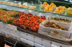 赤峰早市水果店電話地址查詢