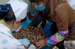 赤峰狗狗正骨醫(yī)院地址電話號碼