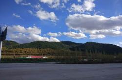 赤峰駕照領(lǐng)取地點(diǎn)電話查詢號碼