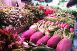 赤峰賣襪子市場地址電話號碼