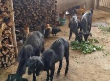 赤峰穆香源牛排店電話號碼