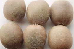 赤峰膨大劑廠商電話(huà)號(hào)碼查詢(xún)