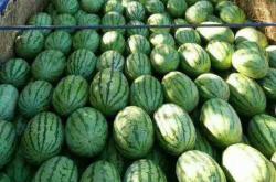 赤峰烏丹食品廠電話號碼