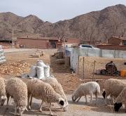 赤峰市北山豬場電話號碼