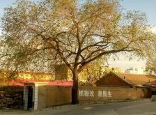 赤峰林東打井電話多少號(hào)