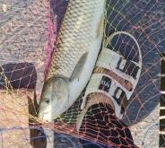 赤峰市釣魚地方推薦電話是多少