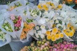 赤峰小雛菊商家電話地址查詢