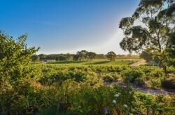 赤峰紅格爾玫瑰莊園電話號碼