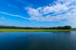 赤峰林西紋身店地址電話號碼