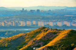 赤峰鉑鋅收款機構電話號碼