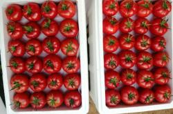 赤峰番茄服務(wù)餐飲部電話號碼