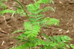 赤峰紫興彩鋼廠電話地址查詢