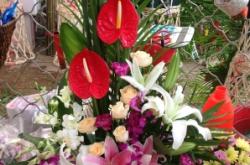 赤峰鮮花花籃廠家電話(huà)號(hào)碼