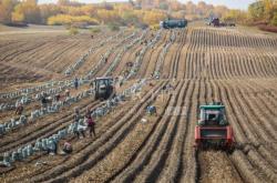 赤峰南韓布加工廠電話號碼