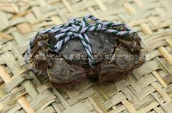 赤峰水產(chǎn)團(tuán)購(gòu)電話號(hào)碼查詢