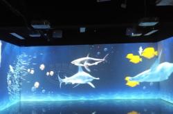 赤峰投影大屏廠家電話號碼