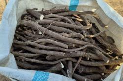 赤峰冷凍品丸子批發(fā)電話號(hào)碼