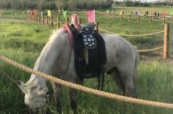 赤峰旗禹德堂電話號(hào)碼查詢