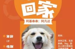 赤峰市無償領(lǐng)養(yǎng)狗狗電話號碼