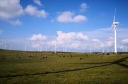 赤峰維修燈籠店電話號碼查詢