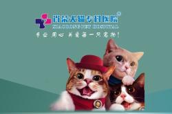 赤峰網紅寵物醫(yī)院電話號碼