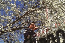 赤峰春光酒店電話多少號碼