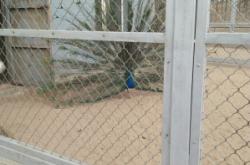 赤峰金宇國家區(qū)物業(yè)電話號碼